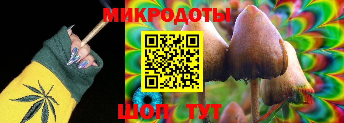 Галлюциногенные грибы Psilocybe Грязи
